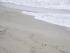 Nochmal der goldene Strand