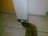 full_foto0024.jpg