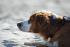 full_515d6833b34cb_dsc_0950.jpg