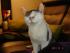 full_dsc03051.jpg