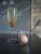Aperitif: Sekt mit Rharbarbersirup und Granatapfelsorbet mit langem Pfeffer