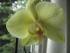 full_img_0015.jpg