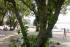 full_pdrm0038.jpg