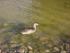 full_ente.jpg