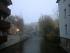 full_cimg2256.jpg