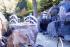 eine Rundbr�cke mit Wasserfall