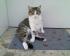 full_handyfotosundvideos009.jpg