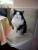 full_sabineszoo024.jpg