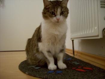 full_06012012006.jpg