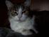 full_06012012003.jpg