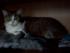 full_06012012004.jpg