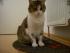 full_06012012006.jpg