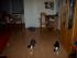 full_0610022012018.jpg