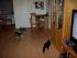 full_0610022012019.jpg