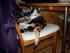 full_0610022012020.jpg