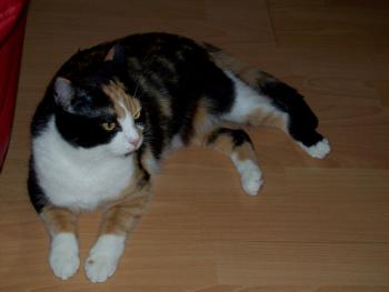 full_rl25022012027.jpg