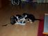 full_rl25022012001.jpg