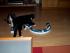 full_rl25022012002.jpg