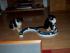 full_rl25022012007.jpg