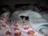 full_juni2012005.jpg