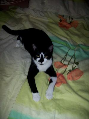 full_juli2012021.jpg