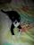 full_juli2012021.jpg