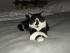 full_herbst2012039.jpg