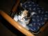 full_dezember2012036.jpg
