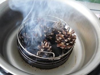 die Feuerstelle mit Holzkohlebrikett und Kiefernzapfen
