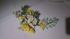 full_dsc_0101.jpg