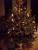 full_baum.jpg