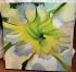 �lbild Orchidee 