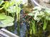 Fisch gef�llig?