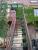 Die tomatenlastige Treppe