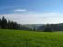 Blick Richtung Gr&uuml;ndelhof