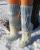 Ostfriesenmischung, 2012-02-06