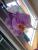 Orchideen... einfach so sch�n