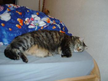 Lucie am Ende des Bettes