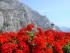 in Limone sul Garda