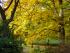 full_dsc03835.jpg