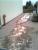 full_517edc8358c26_bild0065.jpg
