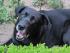 Unser Leon