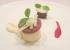 Amuse: Jakobsmuschel auf Topinamburp�ree, Rote Beete, Gr�ner Apfel, Shizo Kresse
