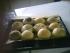 meine Br�tchen