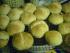 Dinkelbr�tchen mit einer Wasser /Milchmischung