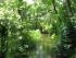 full_img_5067.jpg
