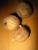 Limetten getrocknet