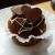 Zebra - Muffins