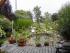 Gartenansicht von der Terrasse, der Garten wurde 2003 neu angelegt