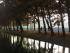 Schwerin im Fr�hling